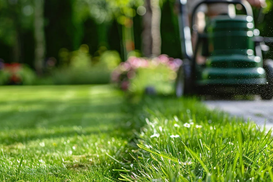 self propelled lawnmower