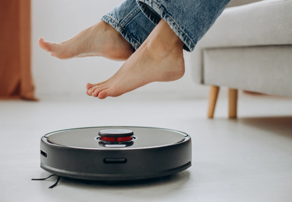 robot vacuum cleaner carpet